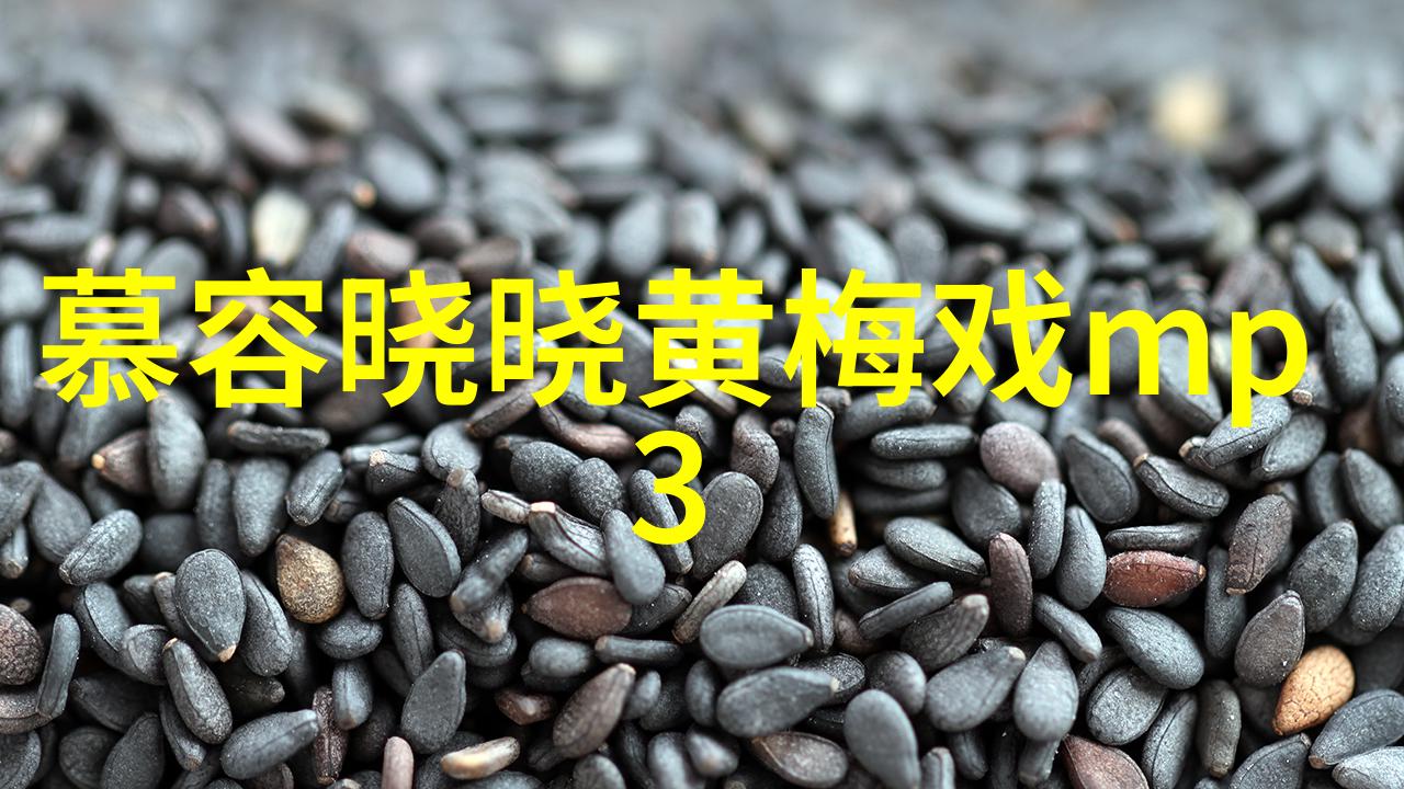 合肥新添10家黄梅戏传承教学基地